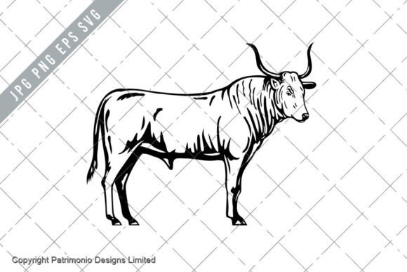 Chianina Bull Side View Mascot Retro